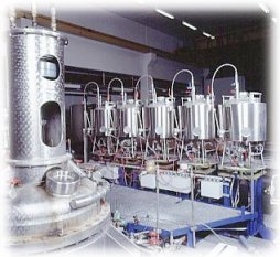 Fermentation plant