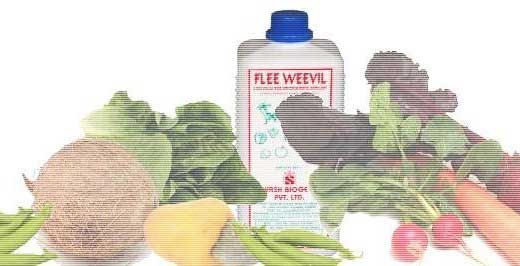 Protect your plantations from wide spectrum of weevil attacks such as Rhynchophorus Schach and ferrugines with Flee Weevil