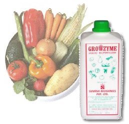 Growzyme - liquid plant tonic which can be administered by foliage spray or drip irrigation system
