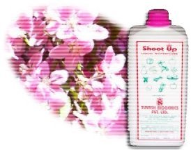 Shoot Up - Liquid formulation for prevention of premature flower and fruit drop and abscission layer formation